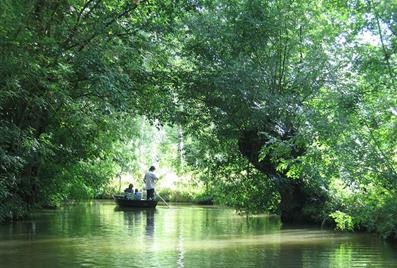 Les marais poitevin