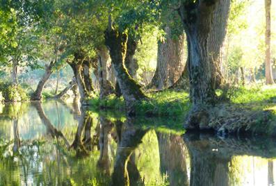 Les marais poitevin