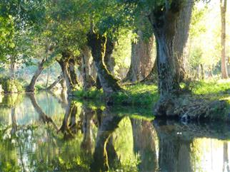 Les marais poitevin