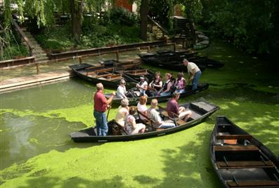 Les marais poitevin